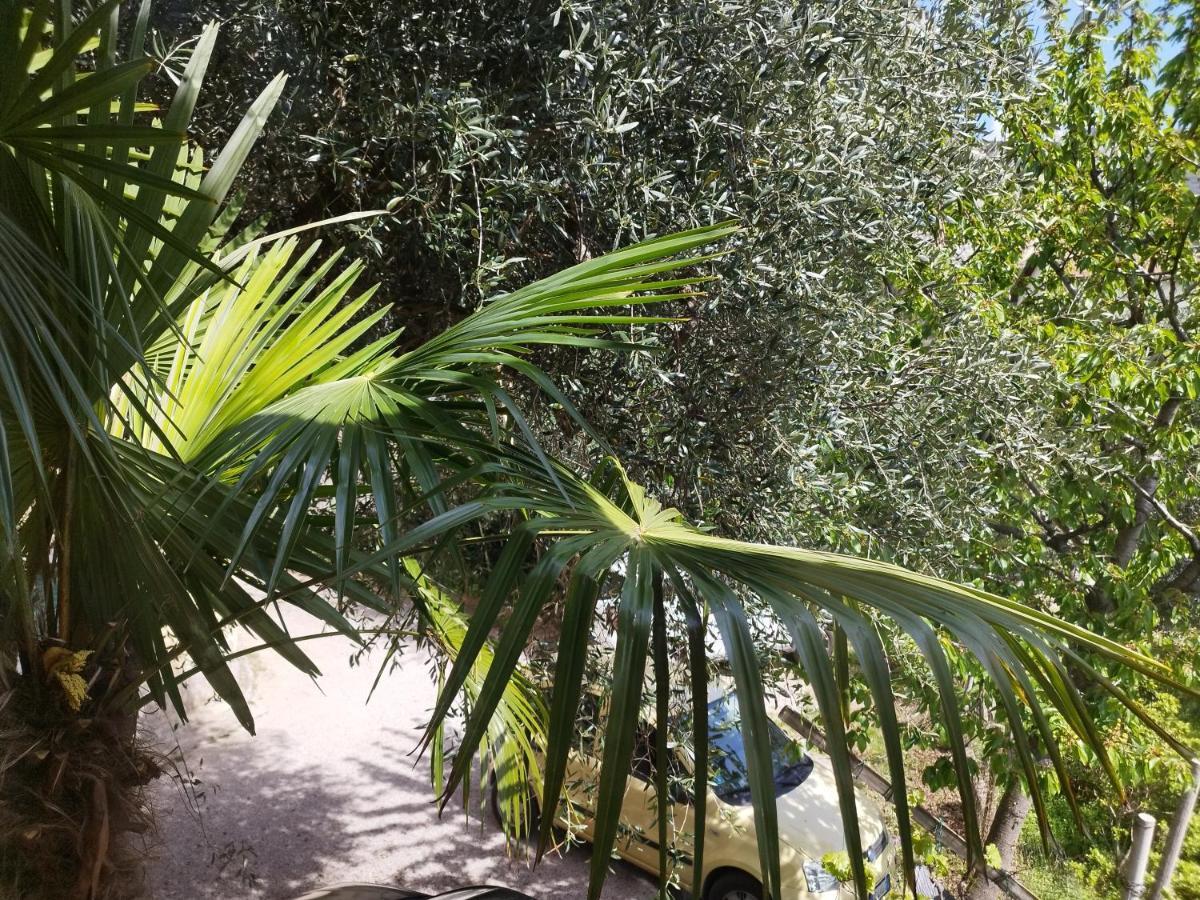 Casa Di Nin Apartment Torbole Sul Garda Exterior photo